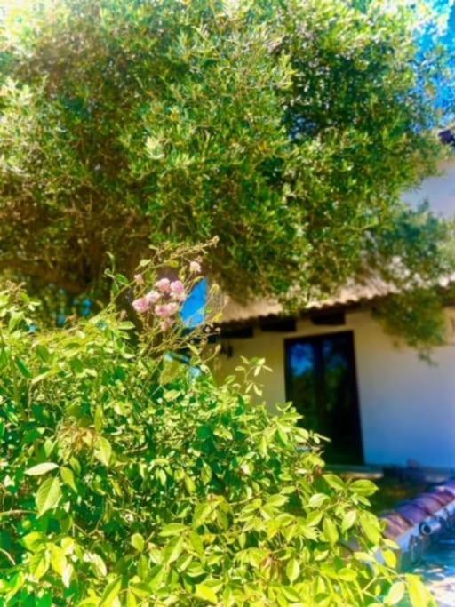 Camera Villa Sarda Aurora Elmas Экстерьер фото